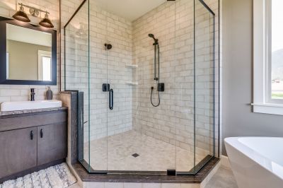 Minimalist Shower Door